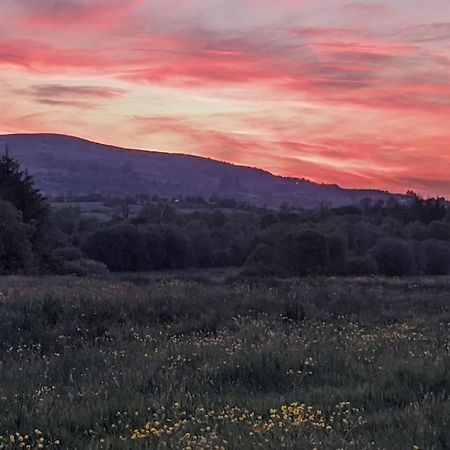 Secluded Private Cottage Hot-Tub, Sauna & Fire-Pit Carrick-on-Shannon Екстер'єр фото