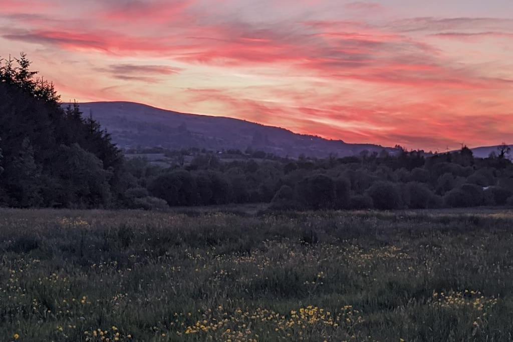 Secluded Private Cottage Hot-Tub, Sauna & Fire-Pit Carrick-on-Shannon Екстер'єр фото