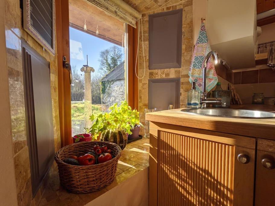 Secluded Private Cottage Hot-Tub, Sauna & Fire-Pit Carrick-on-Shannon Екстер'єр фото