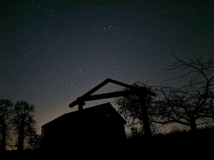 Secluded Private Cottage Hot-Tub, Sauna & Fire-Pit Carrick-on-Shannon Екстер'єр фото